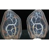 Septaria