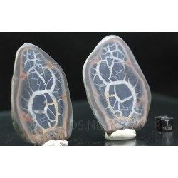 Septaria