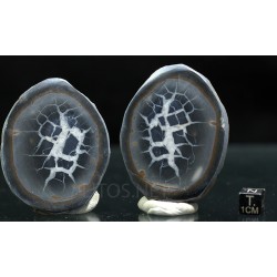 Septaria
