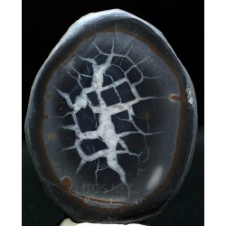 Septaria
