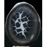 Septaria