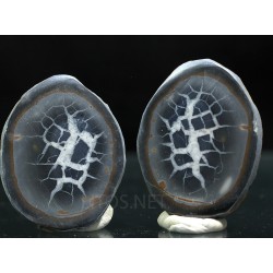 Septaria