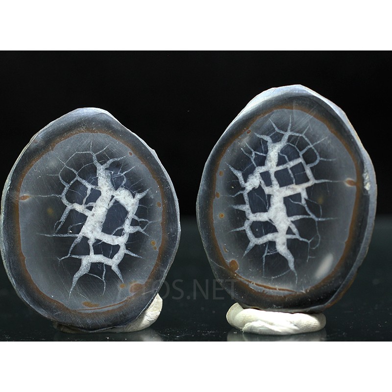Septaria