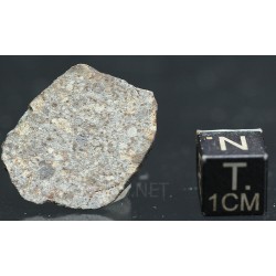 Meteorito NWA 869