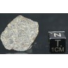 Meteorito NWA 869