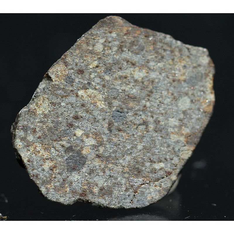 Meteorito NWA 869