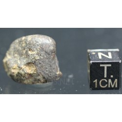 Meteorito NWA 869