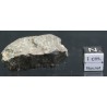 Meteorito NWA 869