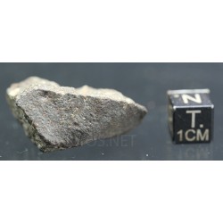 Meteorito NWA 869
