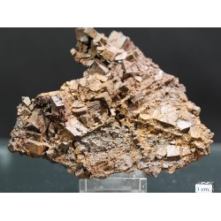Goethita (pseudom. pirita)