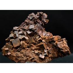 Goethita (pseudom. pirita)
