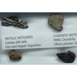 Colección de meteoritos y tectita