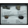 Colección de meteoritos y tectita
