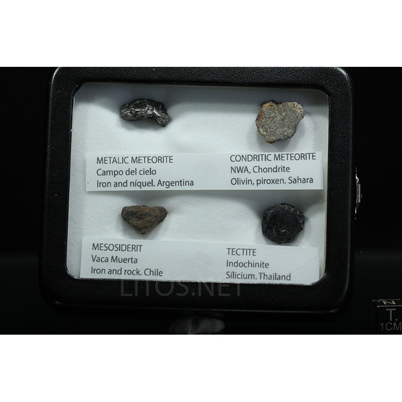 Colección de meteoritos y tectita