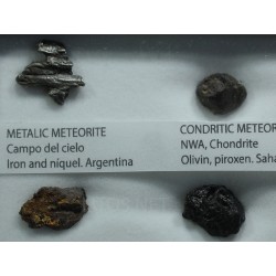 Colección de meteoritos y tectita