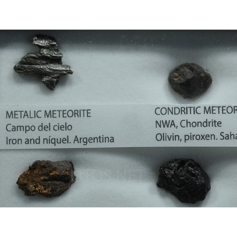 Colección de meteoritos y tectita