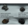 Colección de meteoritos y tectita