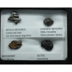 Colección de meteoritos y tectita