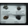 Colección de meteoritos y tectita