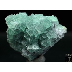 Fluorita