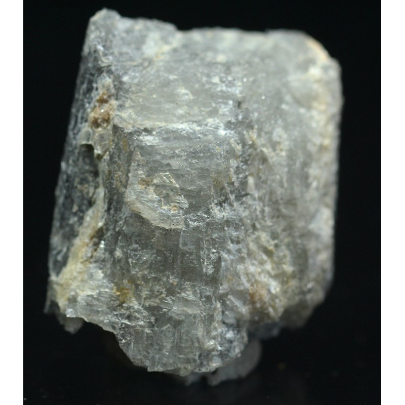 Prismatina