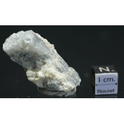 Prismatina