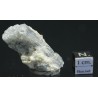 Prismatina