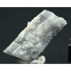 Prismatina