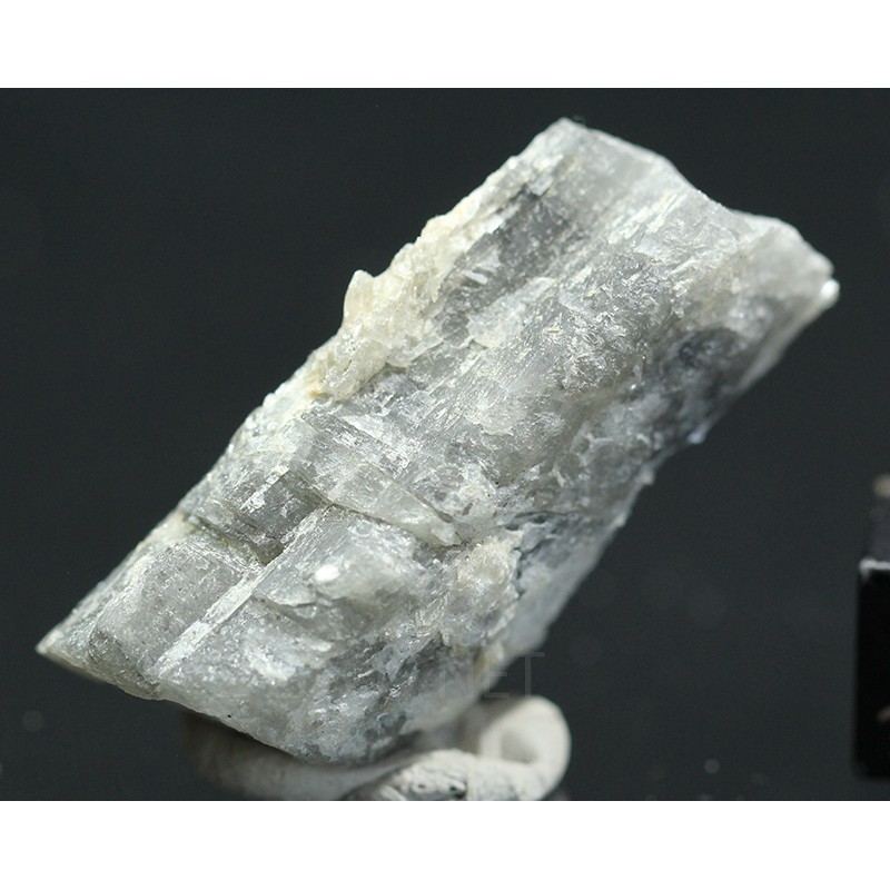 Prismatina