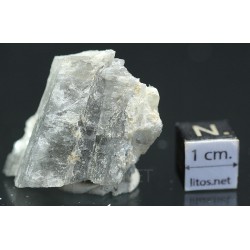 Prismatina