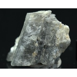 Prismatina