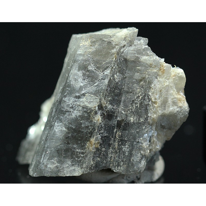 Prismatina