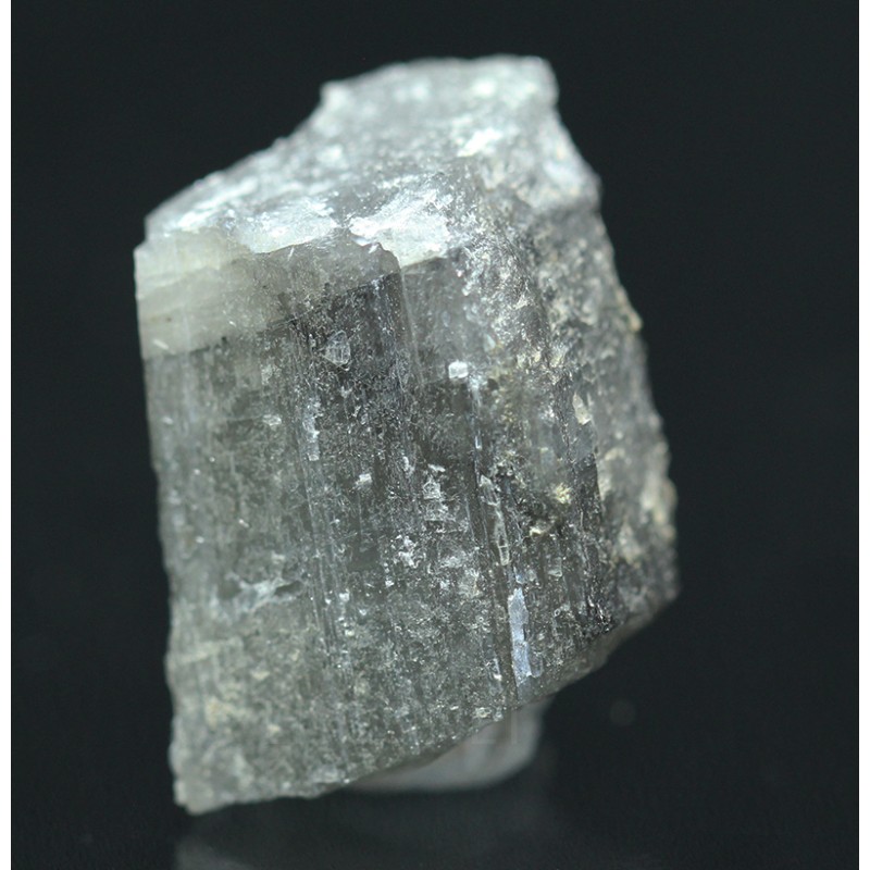 Prismatina