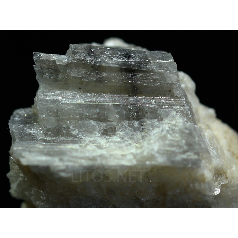 Prismatina Prismatina