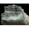 Prismatina