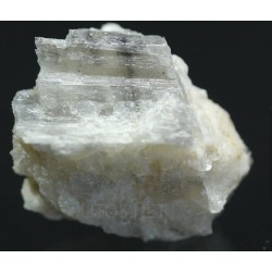 Prismatina
