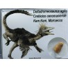 deltadromeosaurus-agilis fosil