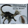 deltadromeosaurus-agilis fosil