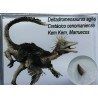 deltadromeosaurus-agilis fosil