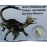 deltadromeosaurus-agilis fosil