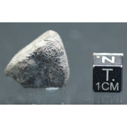 Meteorito NWA