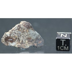 Meteorito NWA 869