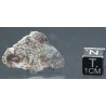 Meteorito NWA 869