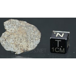 Meteorito NWA 869