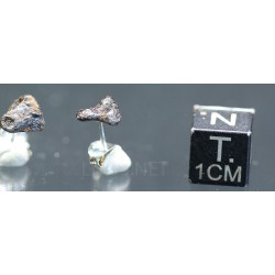 Pendientes de Meteorito