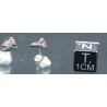 Pendientes de Meteorito