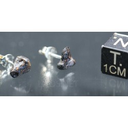 Pendientes de Meteorito
