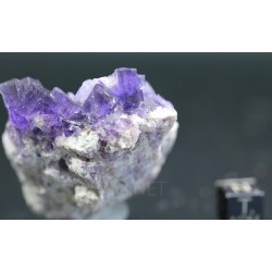 Fluorita