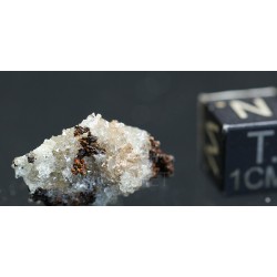 Tarbuttita