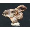 Meteorito Imilac